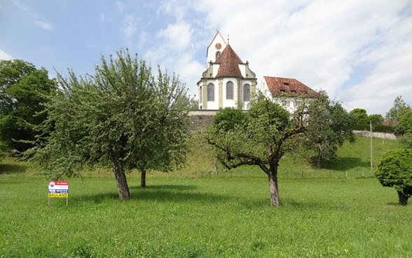 Die Obstbäume unterhalb des Kirchhügels von Herznach sind typisch für die Kulturlandschaft des Fricktals.